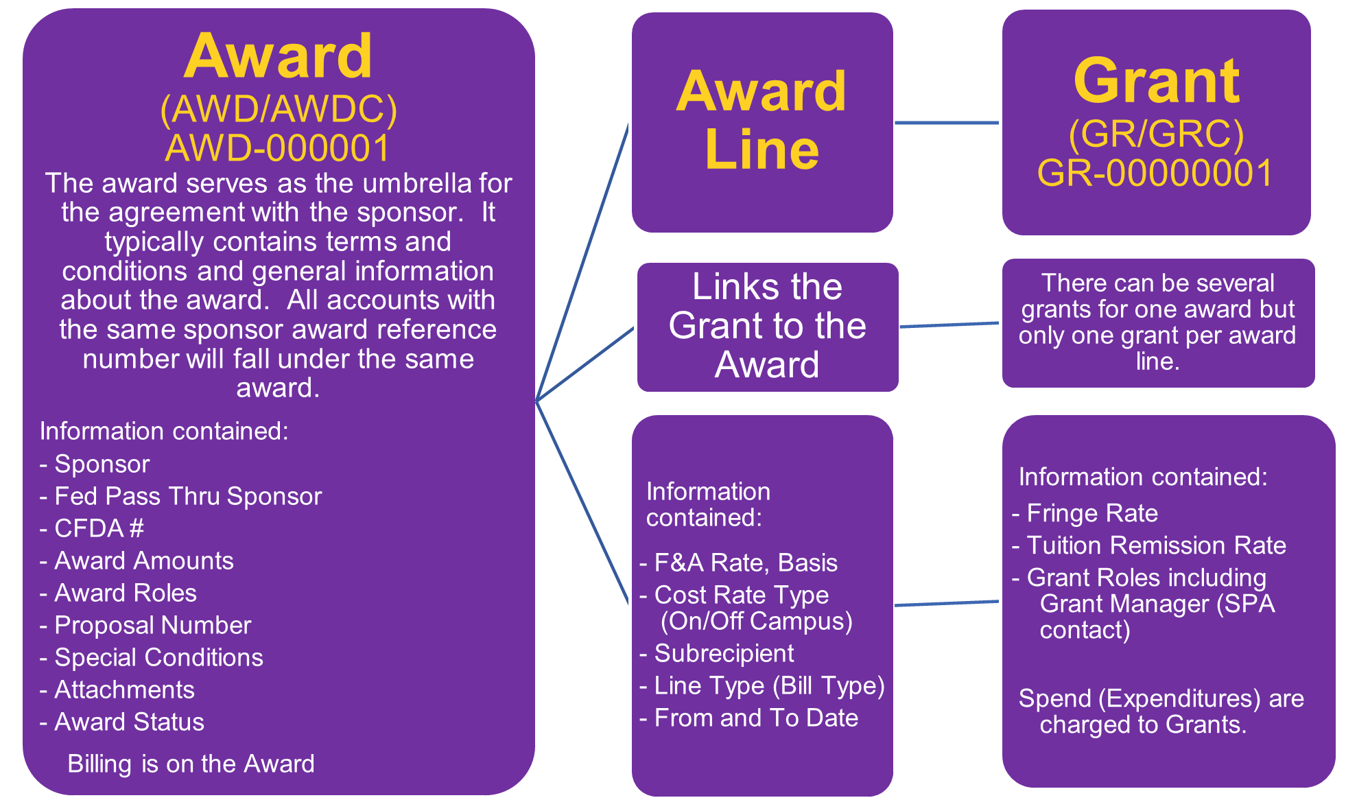 award to grant relationship in workday