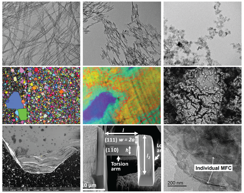 World Microscope Day World Microscope Day