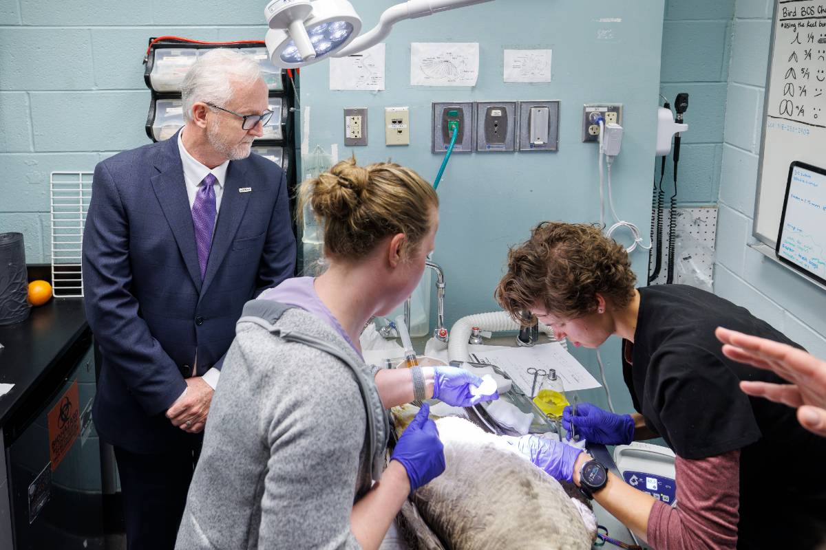 Jim Dalton in LSU Vet Med Lab Dalton in LSU Vet Med Lab
