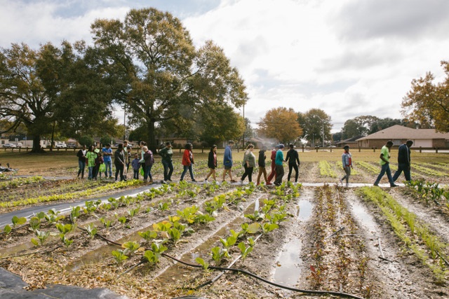 Baton Roots Community Farm