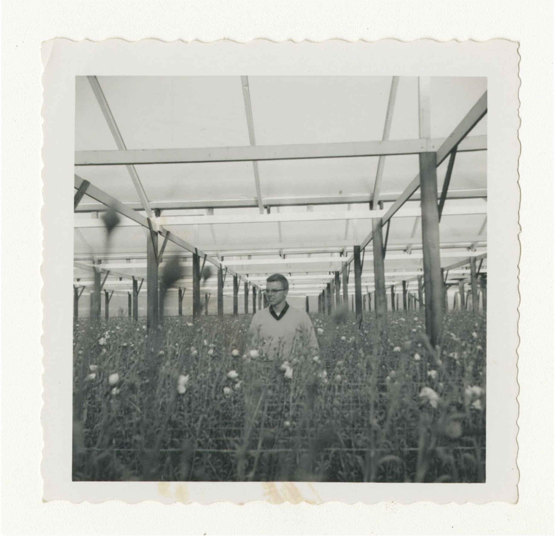 Max Conrad in the greenhouse