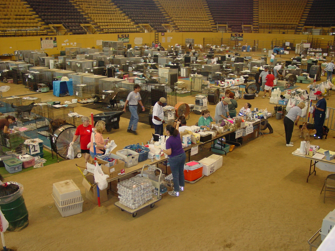 volunteers at the Parker Coliseum